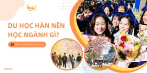 Du học Hàn nên học ngành gì không lo thất nghiệp năm 2024?