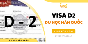 Visa D2 Du học Hàn Quốc và 8 loại phổ biến